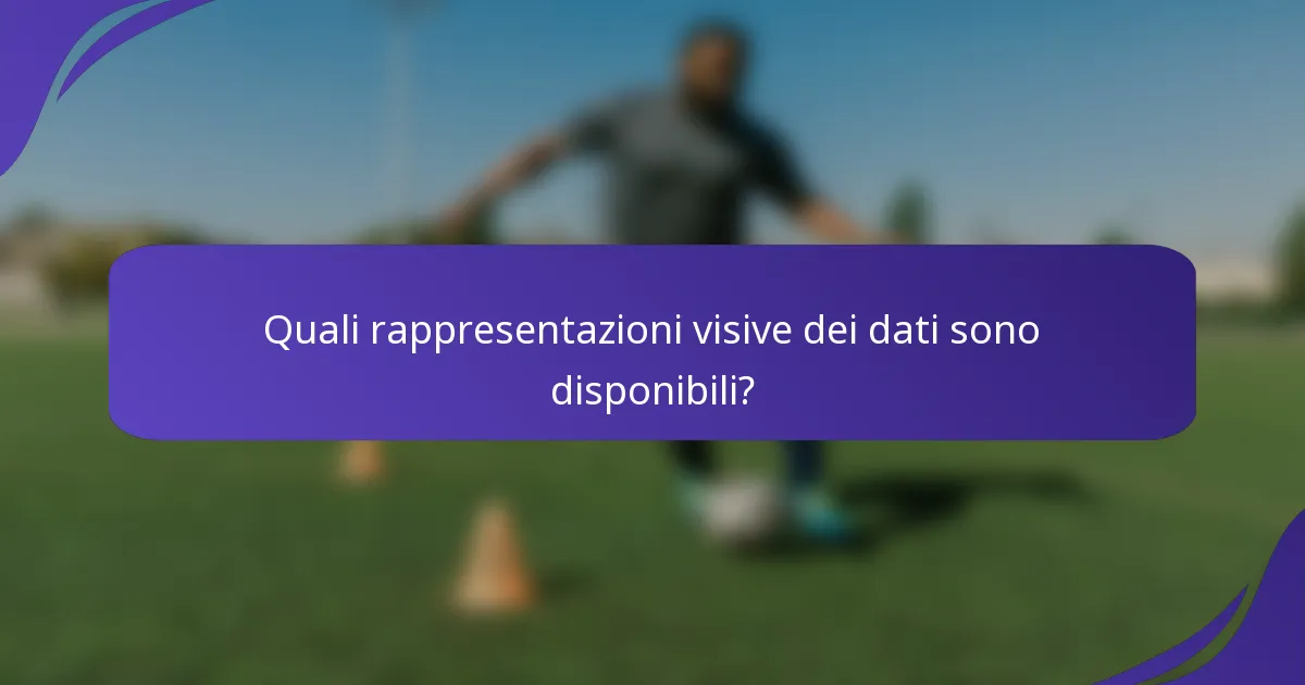 Quali rappresentazioni visive dei dati sono disponibili?